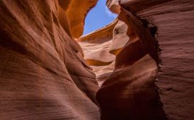 The canyon