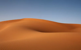 The dunes
